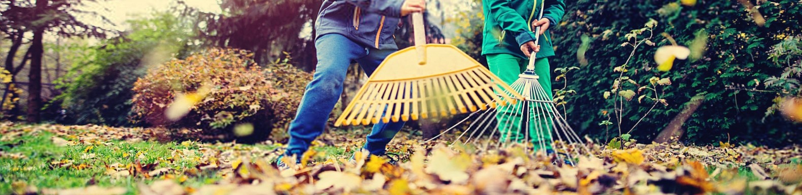 Garden Rakes