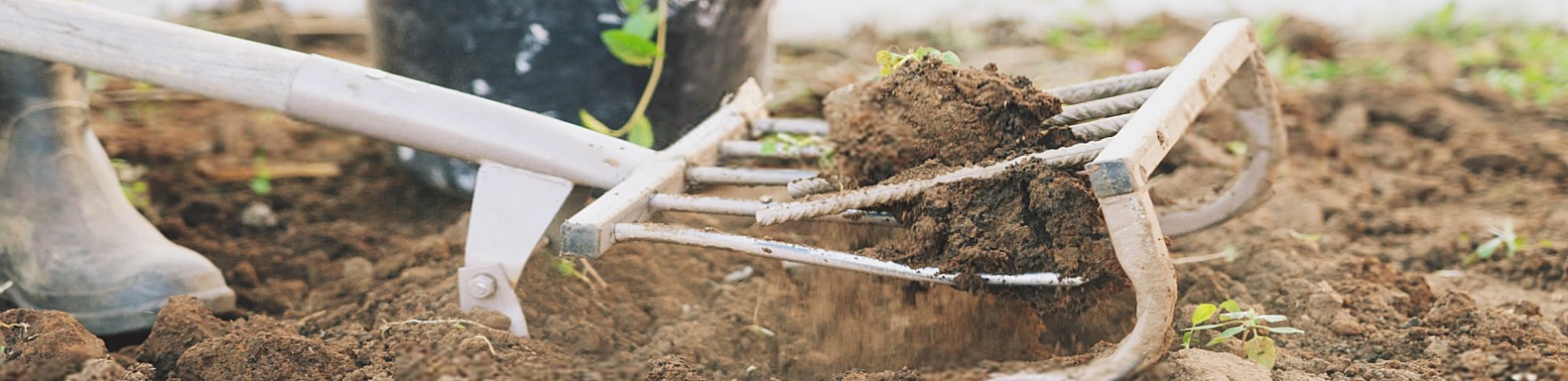 Cultivators & Trowel